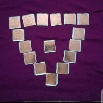 Yentra 6